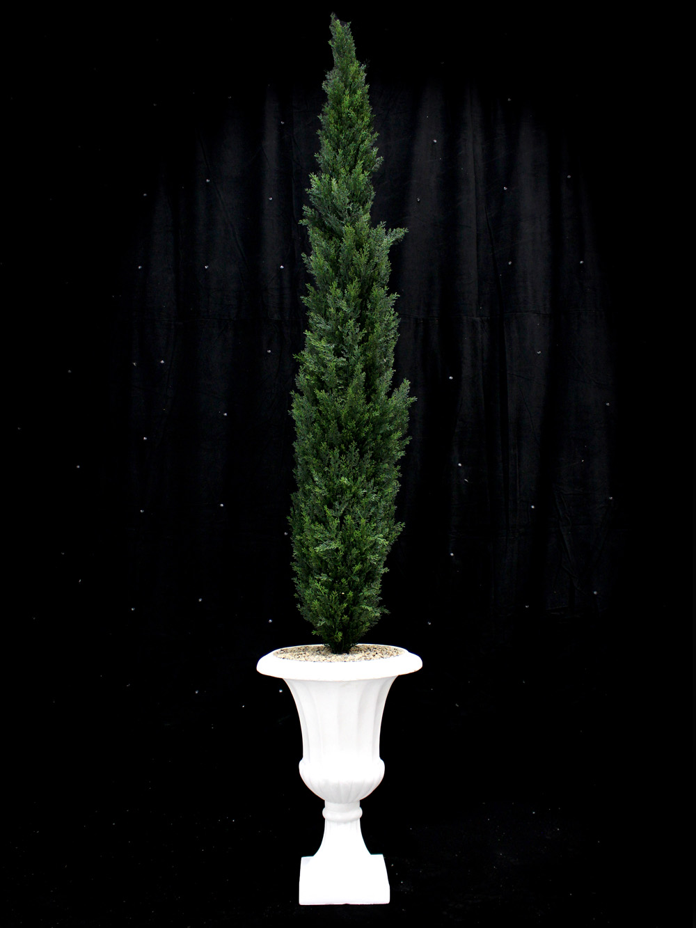 SN3050_Cedar_Tree_-_Tall_event_prop_hire_0003LG_0054_copy