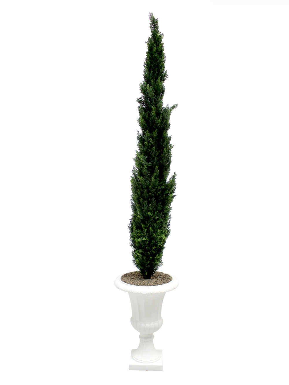 SN3050_Cedar_Tree_-_Tall_event_prop_hire_0005LG_0058_copy