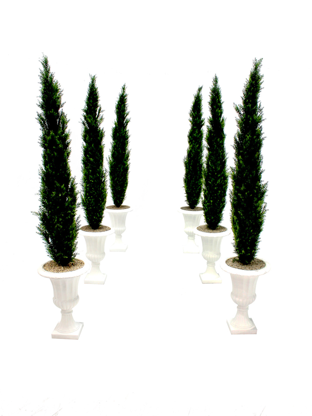 SN3050_Cedar_Tree_-_Tall_event_prop_hire_0007LG_0066_copy