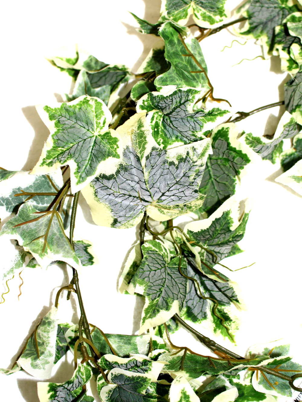 SN3115_Variegated_Leaf_Ivy_Garland_event_prop_hire_0006LG_101_copy