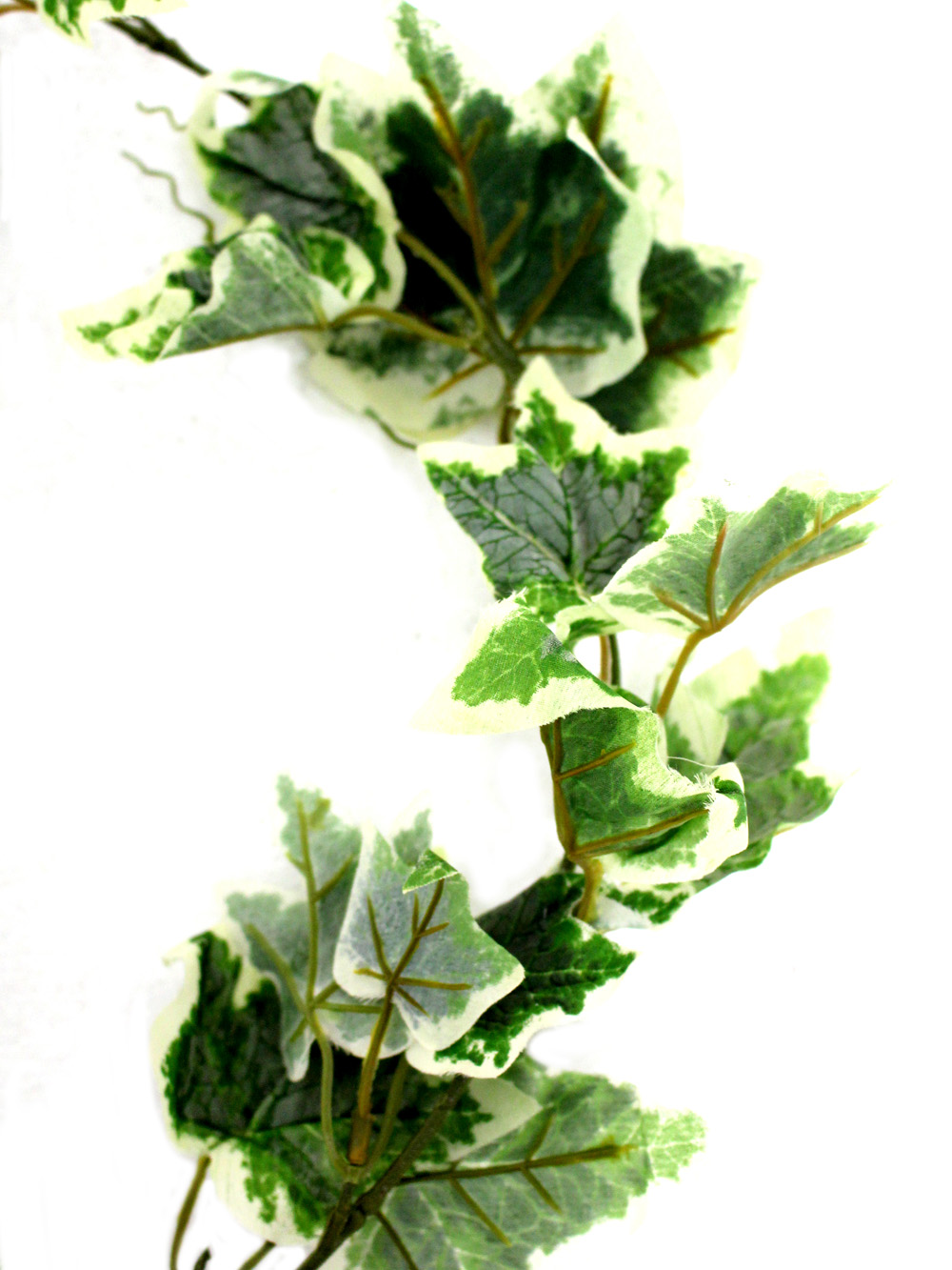 SN3115_Variegated_Leaf_Ivy_Garland_event_prop_hire_0007LG_102_copy