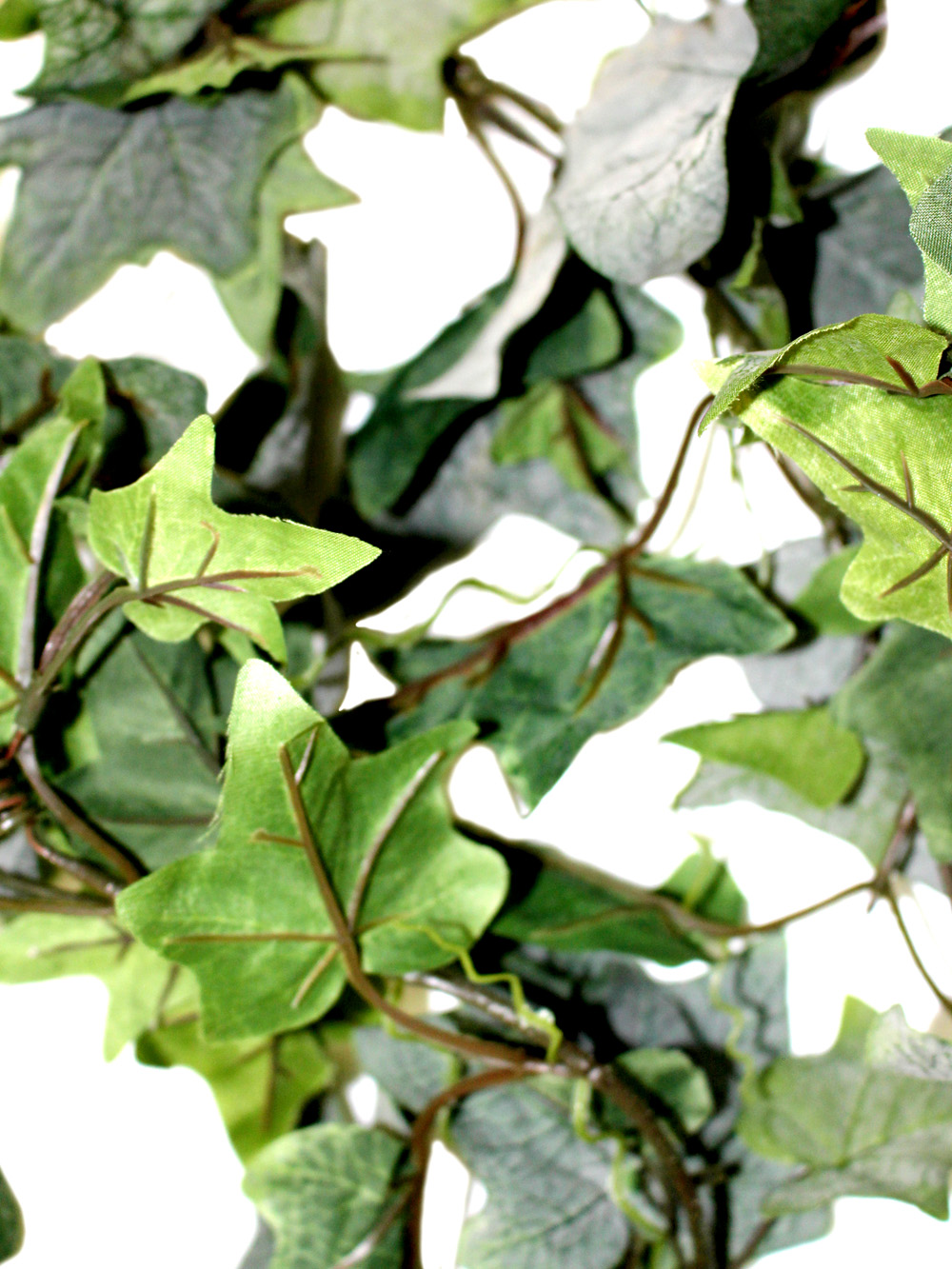 SN3116_Green_Leaf_Ivy_Garland_event_prop_hire_0005LG_105_copy