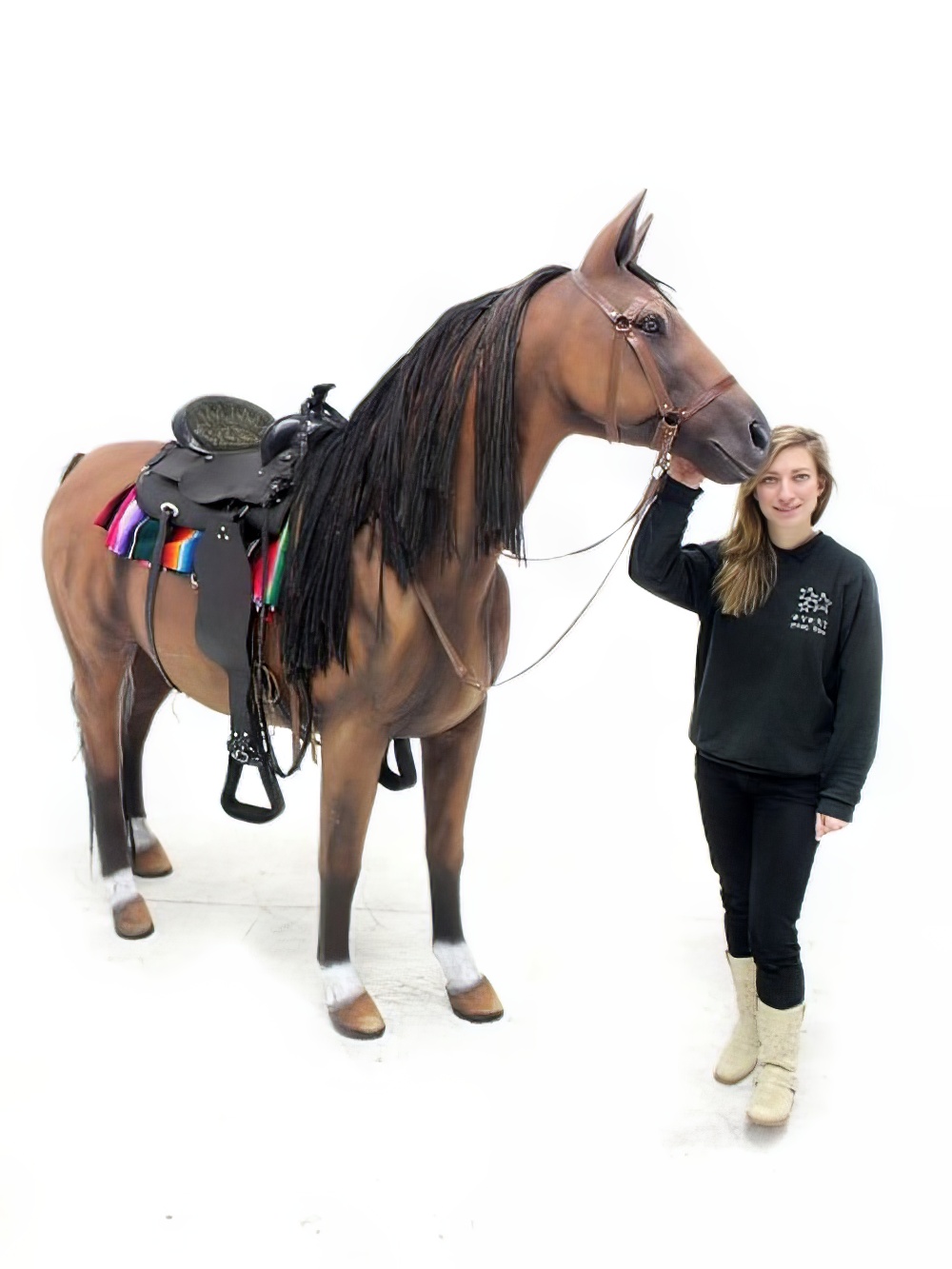 SN3321_Life-size_Wild_West_Horseevent_prop_hire_LG_1480_copy
