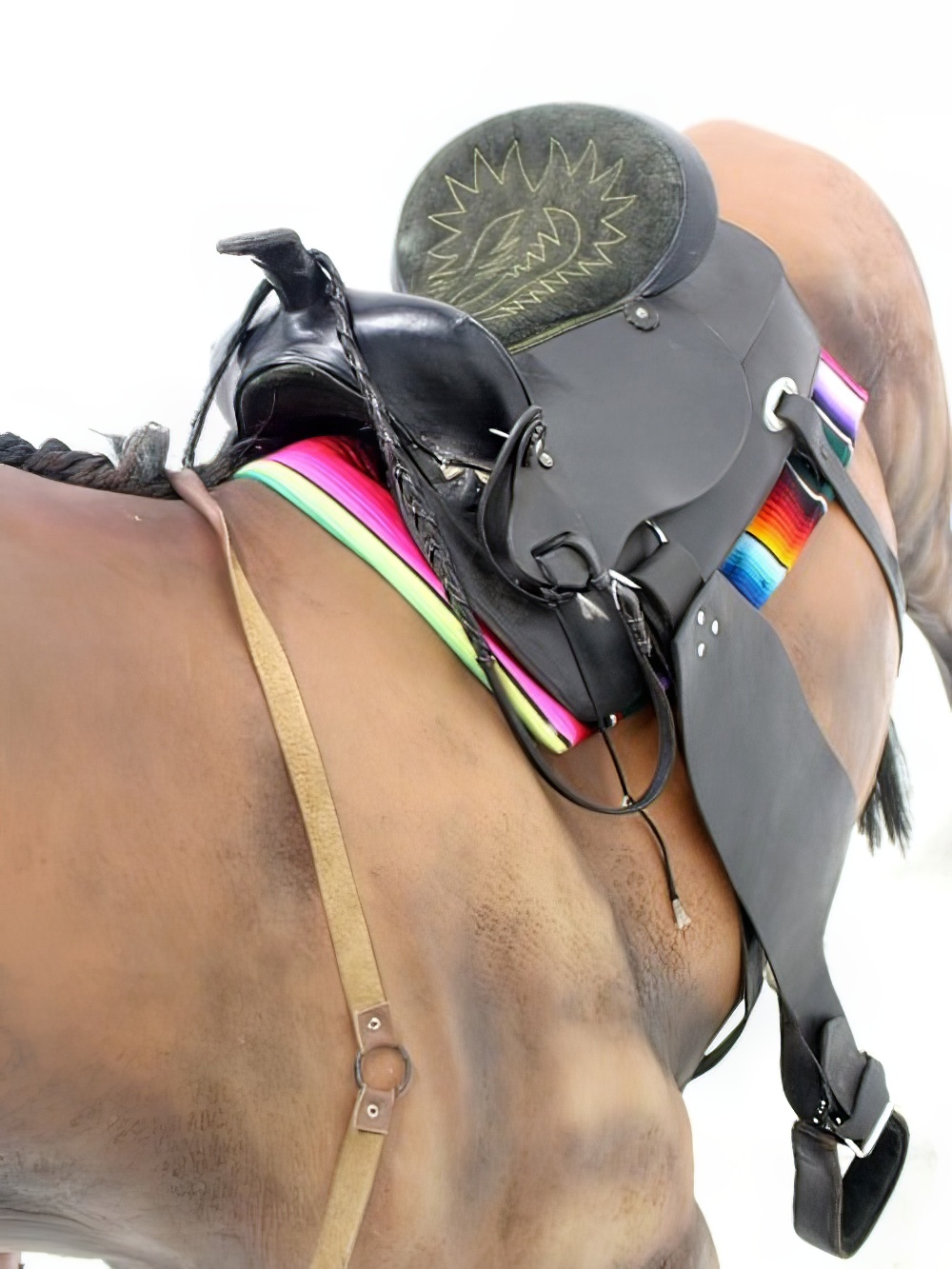 SN3321_Life-size_Wild_West_Horseevent_prop_hire_LG_1481_copy