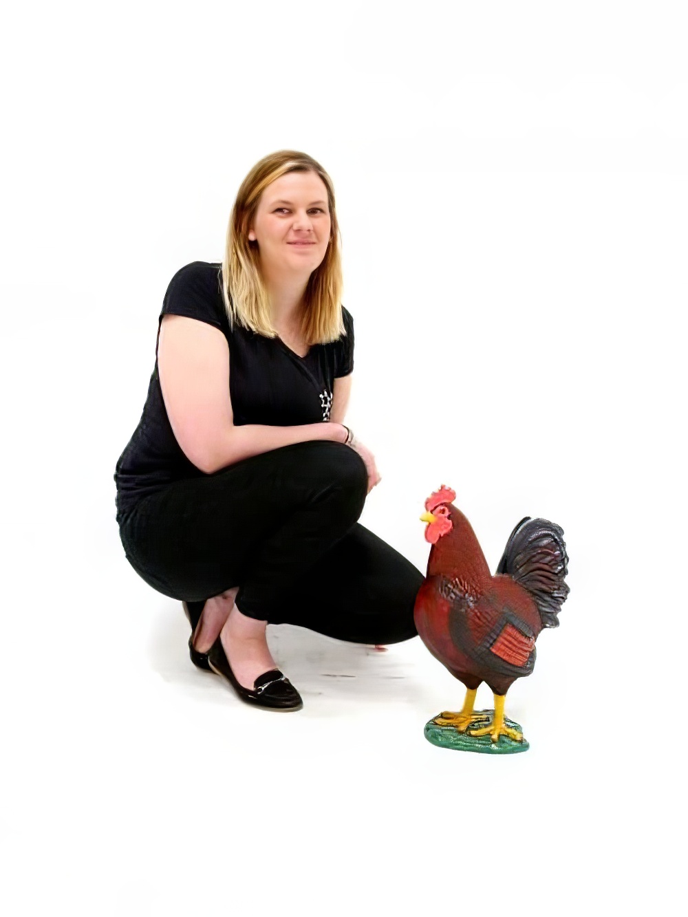 SN3337_Traditional_Brown_Cockerelevent_prop_hire_LG_1062_copy