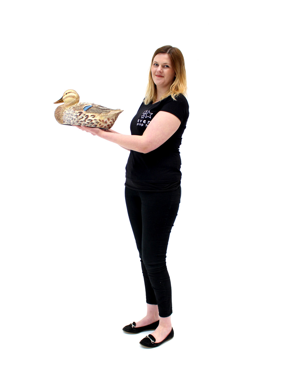 SN3338_Mallard_Duck_-_Female_event_prop_hire_0015LG_623_copy