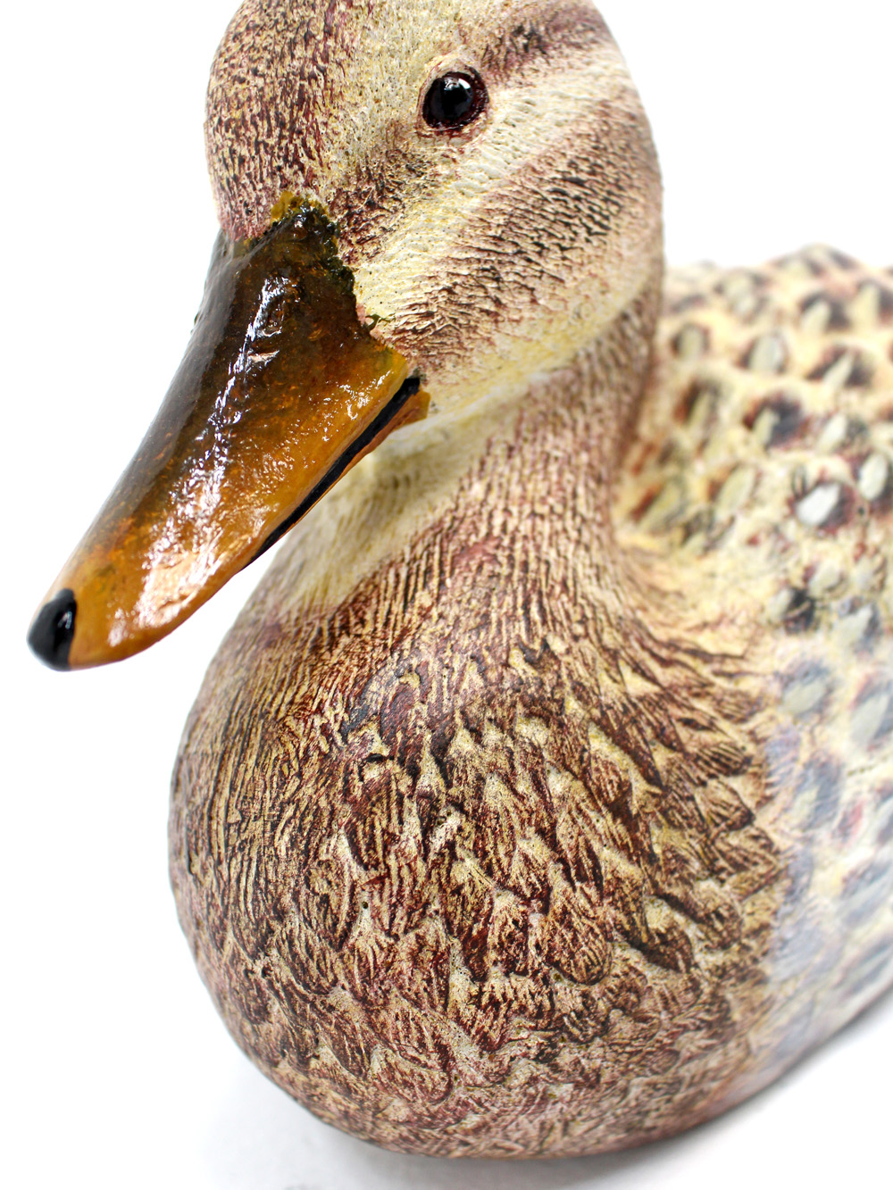 SN3338_Mallard_Duck_-_Female_event_prop_hire_0016LG_632_copy