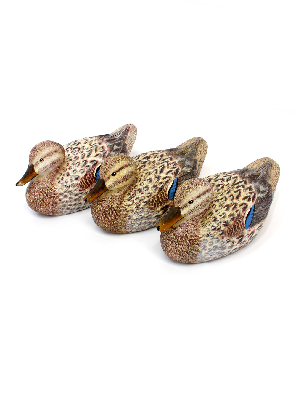 SN3338_Mallard_Duck_-_Female_event_prop_hire_0019LG_639_copy