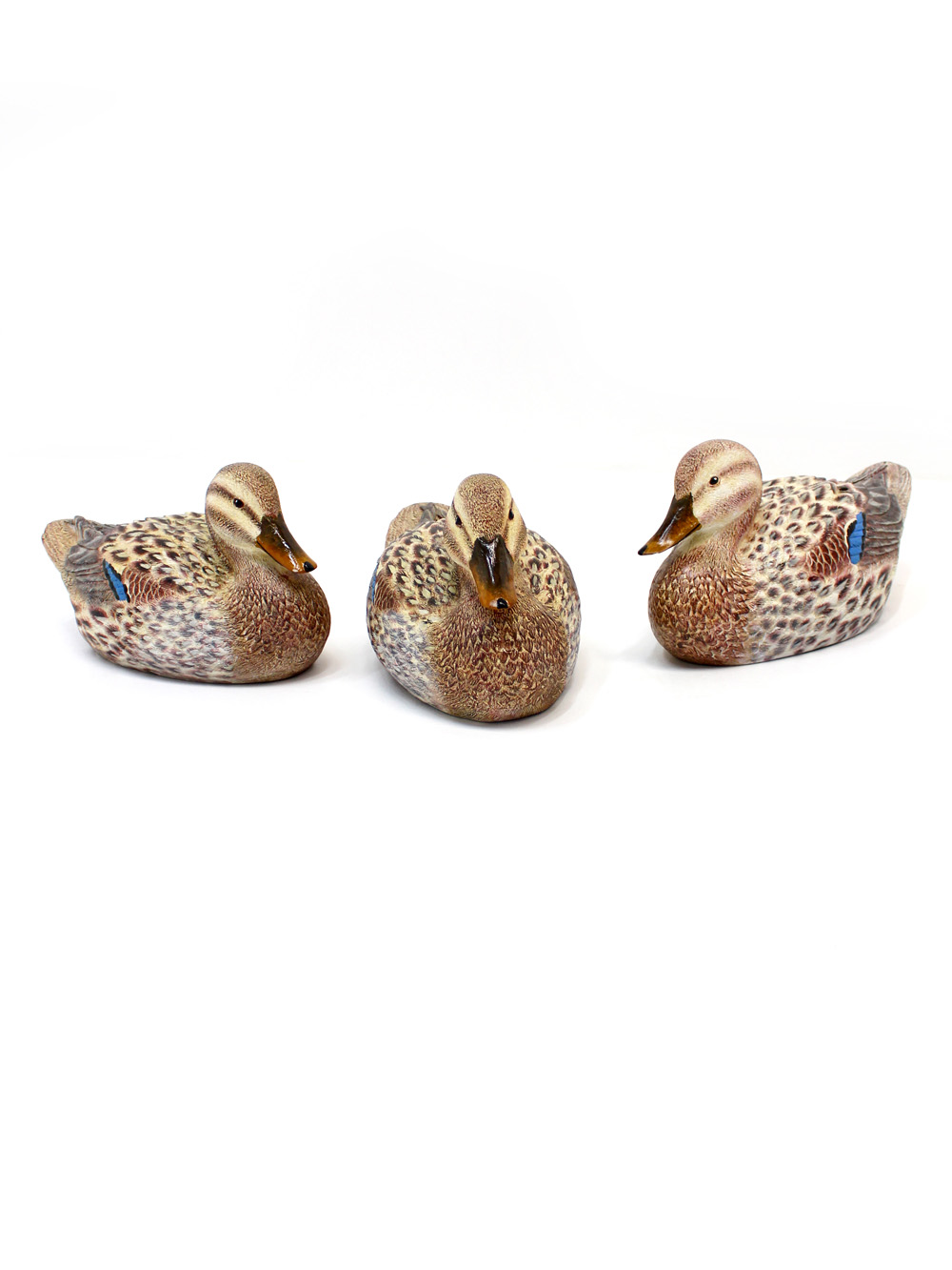 SN3338_Mallard_Duck_-_Female_event_prop_hire_0020LG_640_copy