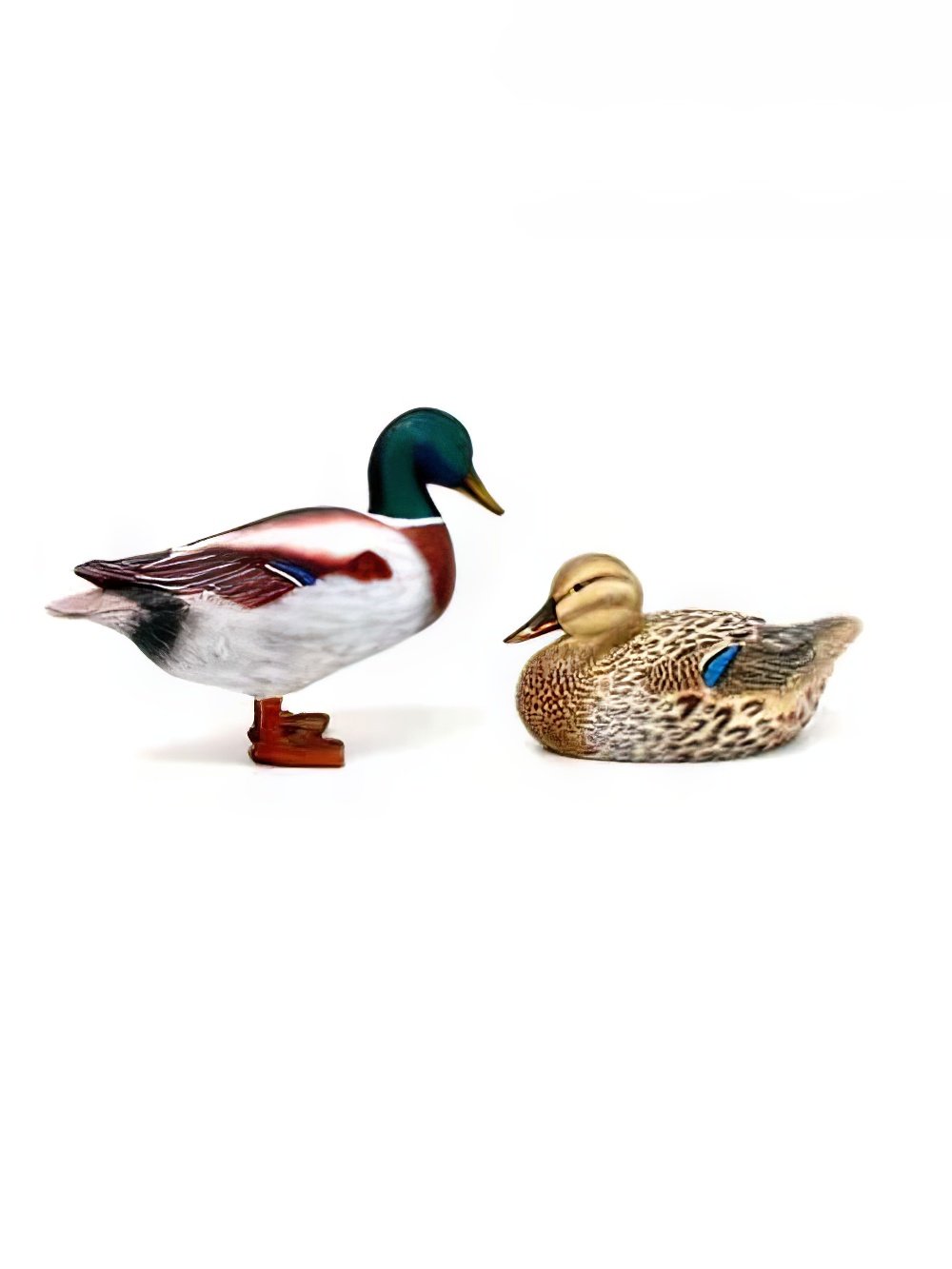 SN3339_Mallard_Duck_-_Male_SN3338_Mallard_Duck_Maleevent_prop_hire_LG_910_copy