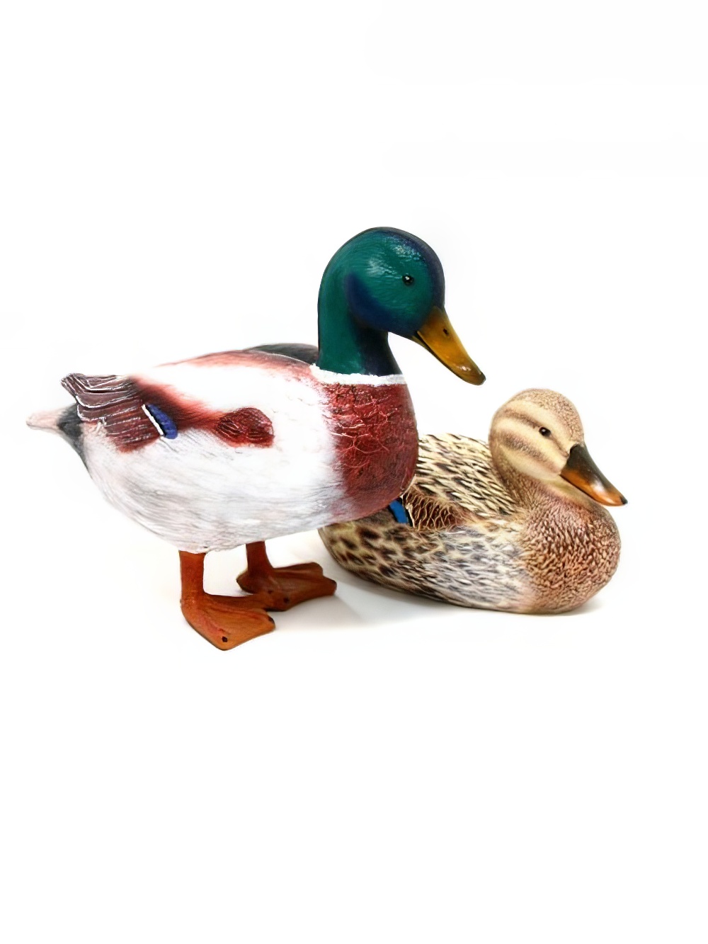 SN3339_Mallard_Duck_-_Male_SN3338_Mallard_Duck_Maleevent_prop_hire_LG_920_copy