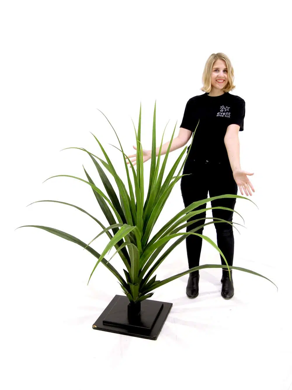 SN3456_Pandanus Cactus Plant #2_148