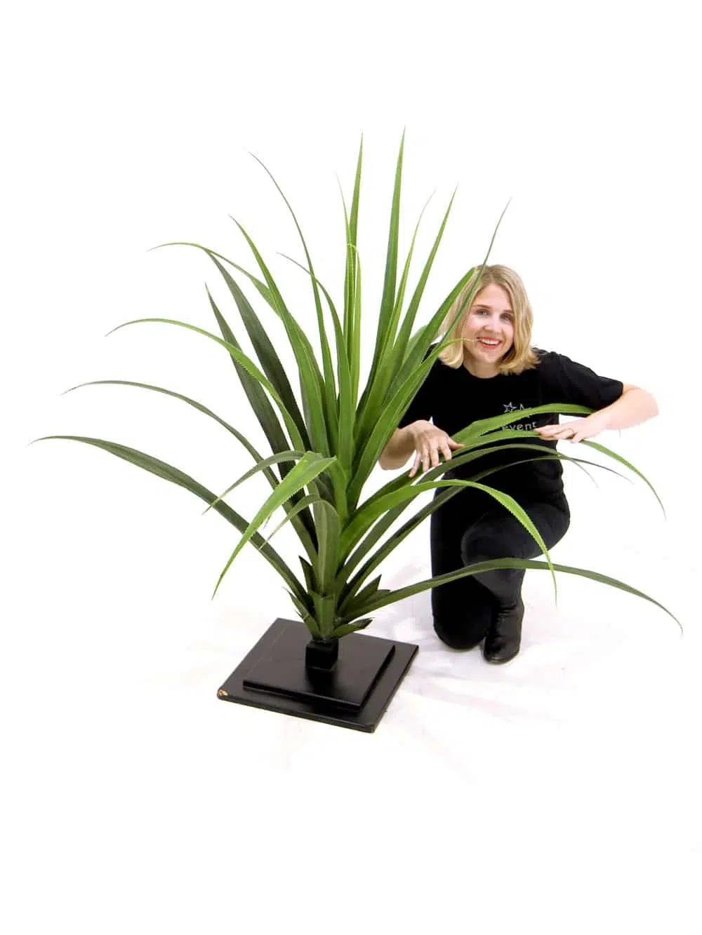 SN3456_Pandanus Cactus Plant #2_149
