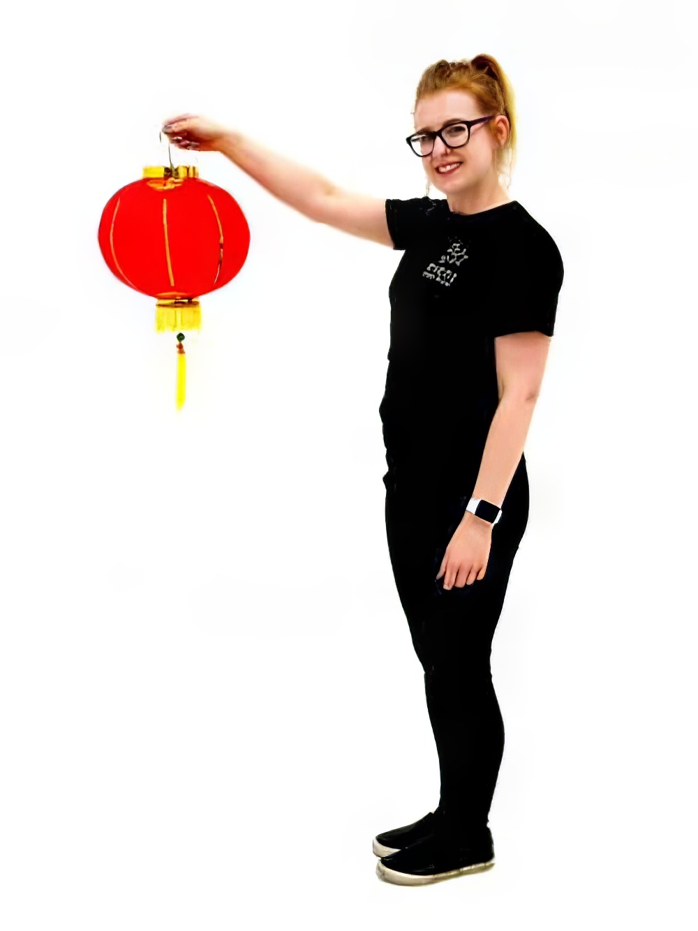 SN3741_Oriental_Paper_Lantern_-_Redevent_prop_hire_LG_1291_copy