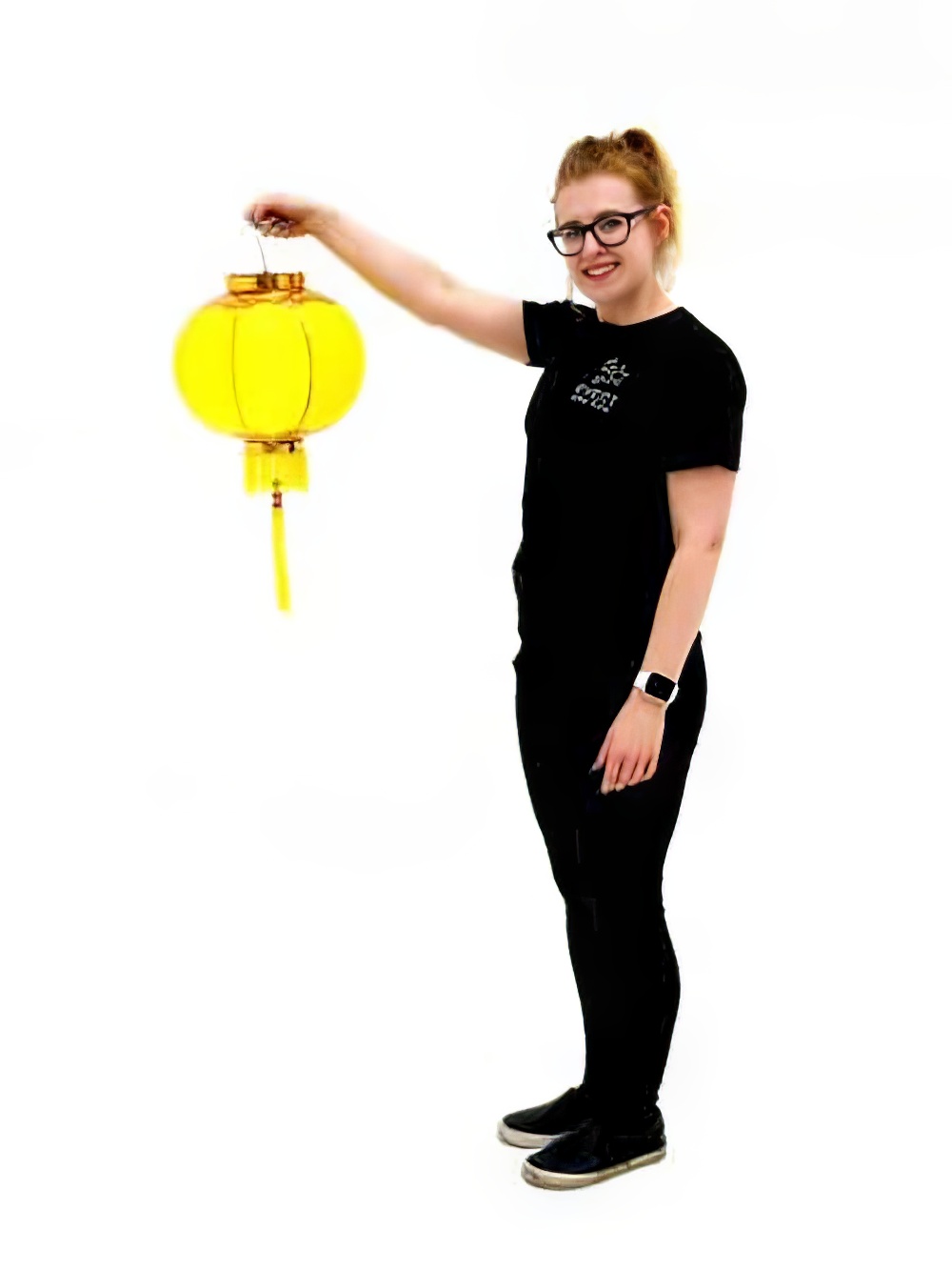 SN3742_Oriental_Paper_Lantern_-_Yellowevent_prop_hire_LG_1292_copy