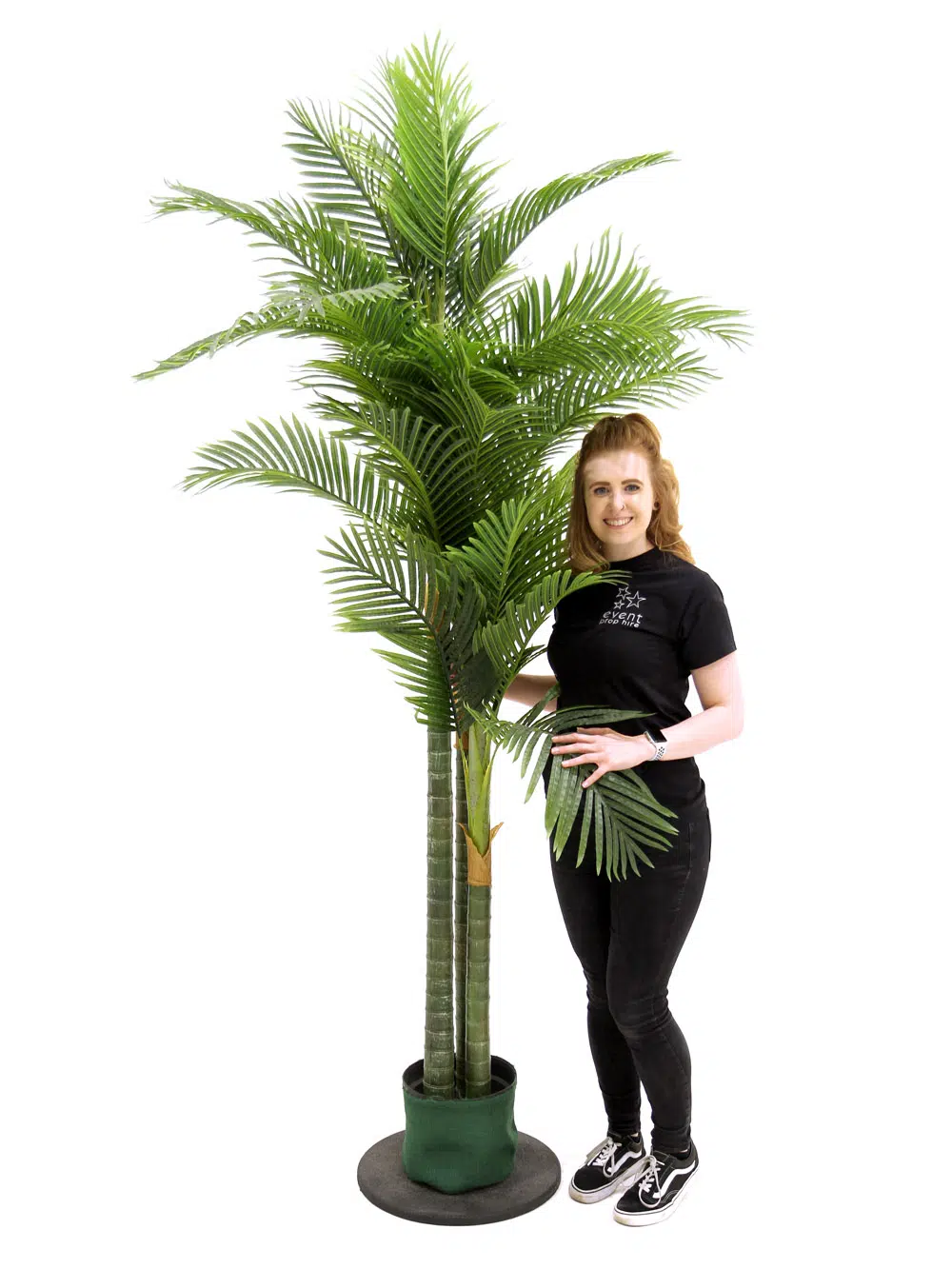 SN3954_Triple Headed Palm Tree_003
