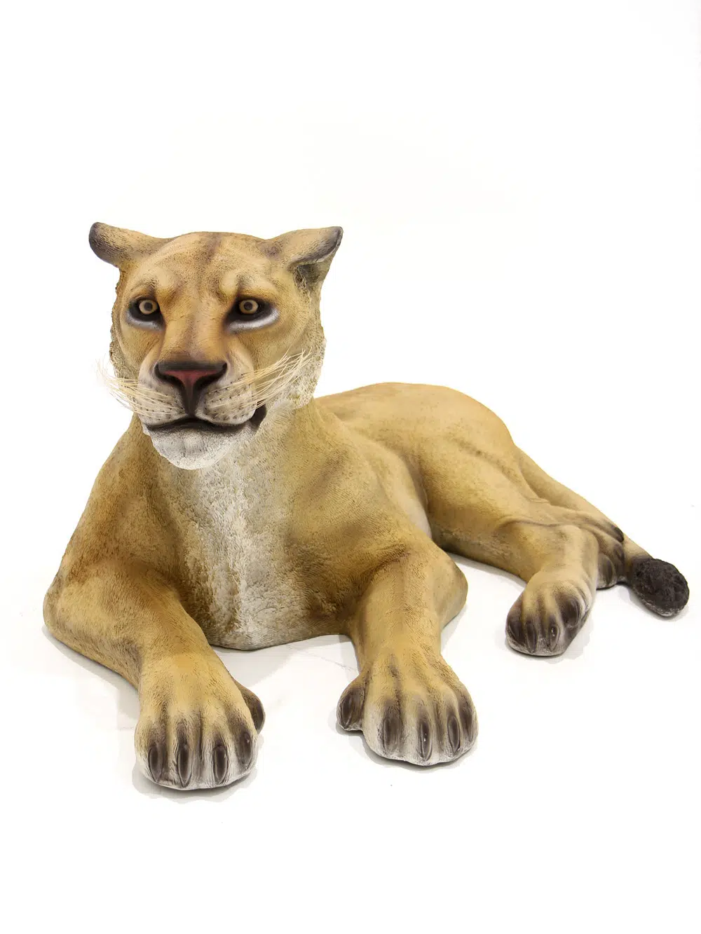 SN5528 Life-size Lioness _event_prop_hire_034_Optimised