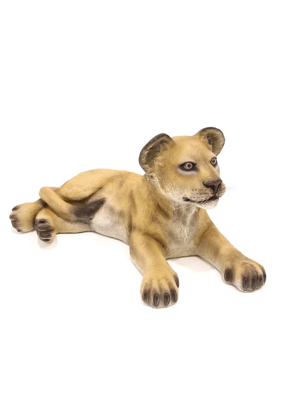 SN5529 Life-size Lion Cub - Lying _event_prop_hire_026_Optimised