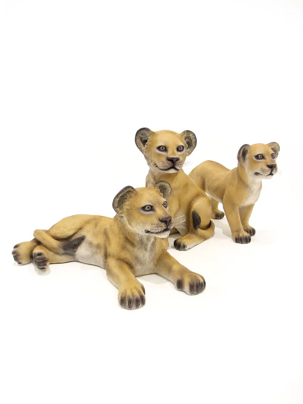 SN5529_SN5530_SN5531 Life-size Lion Cubs _event_prop_hire_028_Optimised