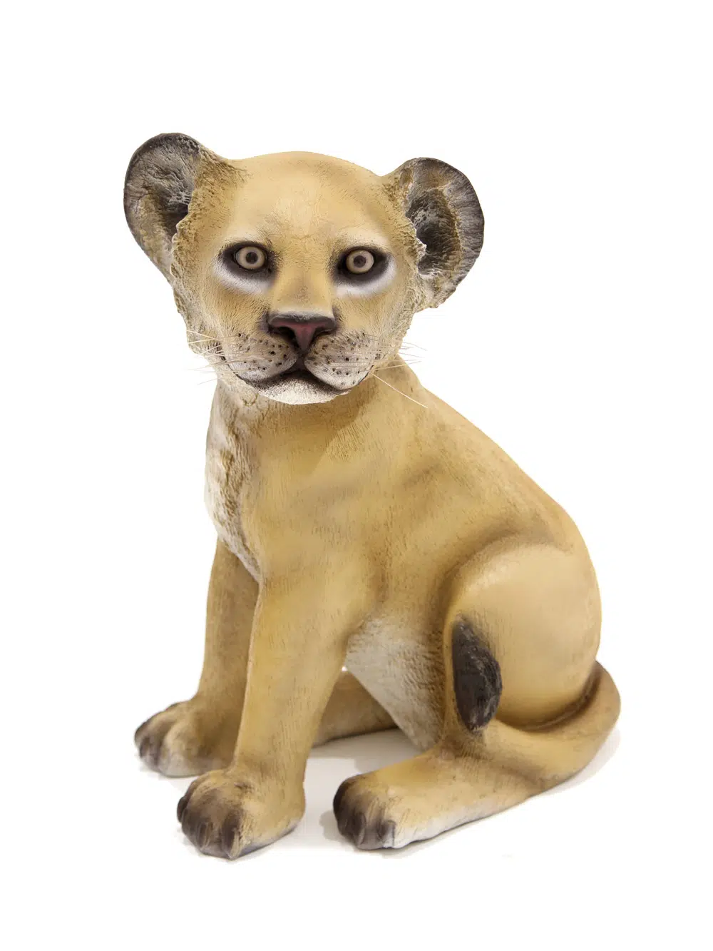 SN5530 Life-size Lion Cub - Sitting _event_prop_hire_023_Optimised