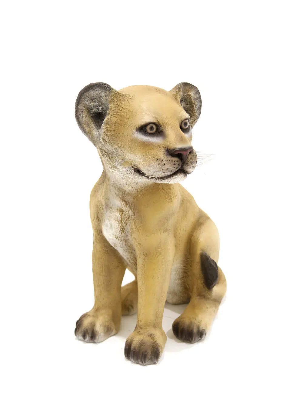 SN5530 Life-size Lion Cub - Sitting _event_prop_hire_024_Optimised