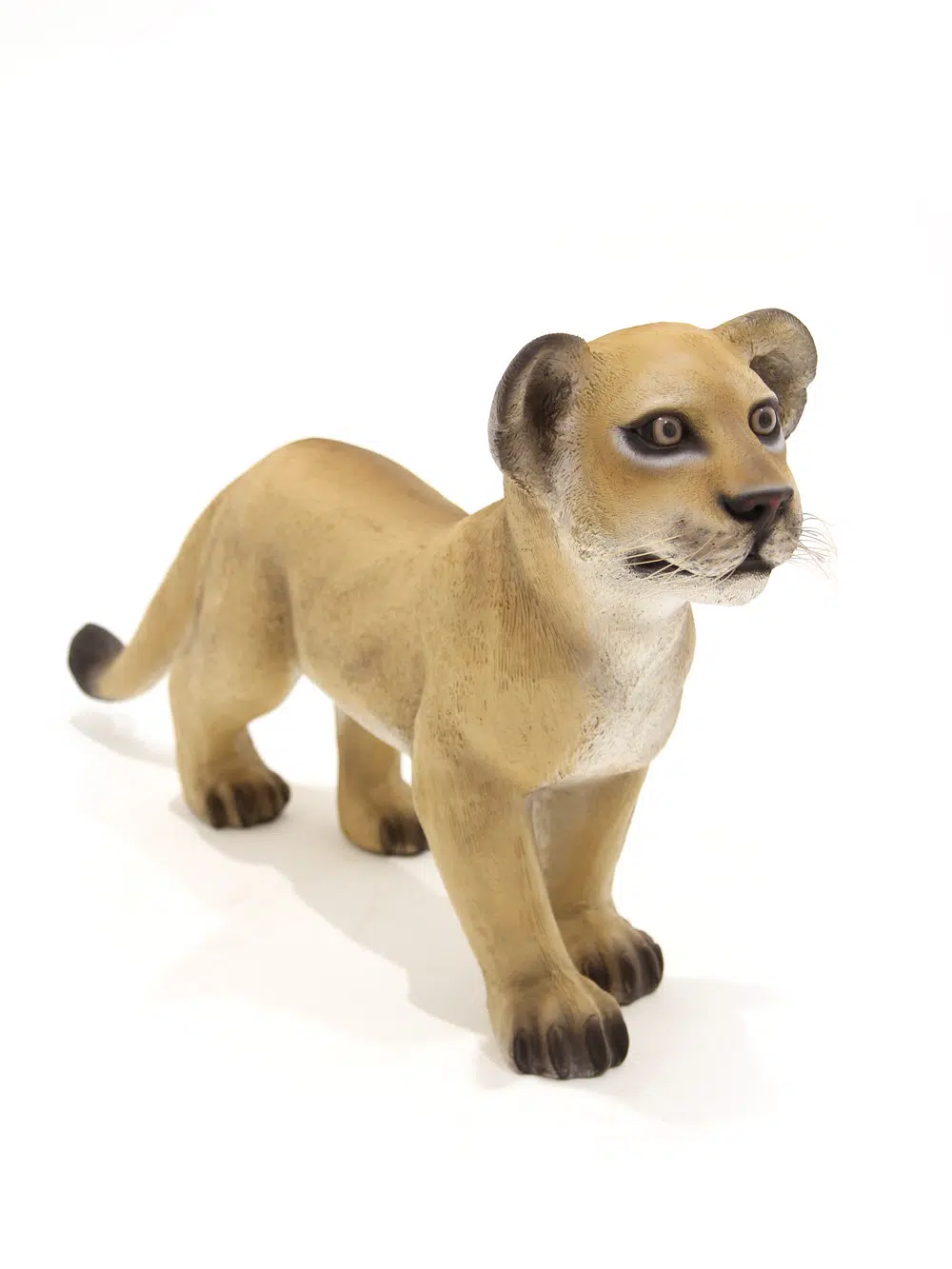 SN5531 Life-size Lion Cub - Standing _event_prop_hire_021_Optimised