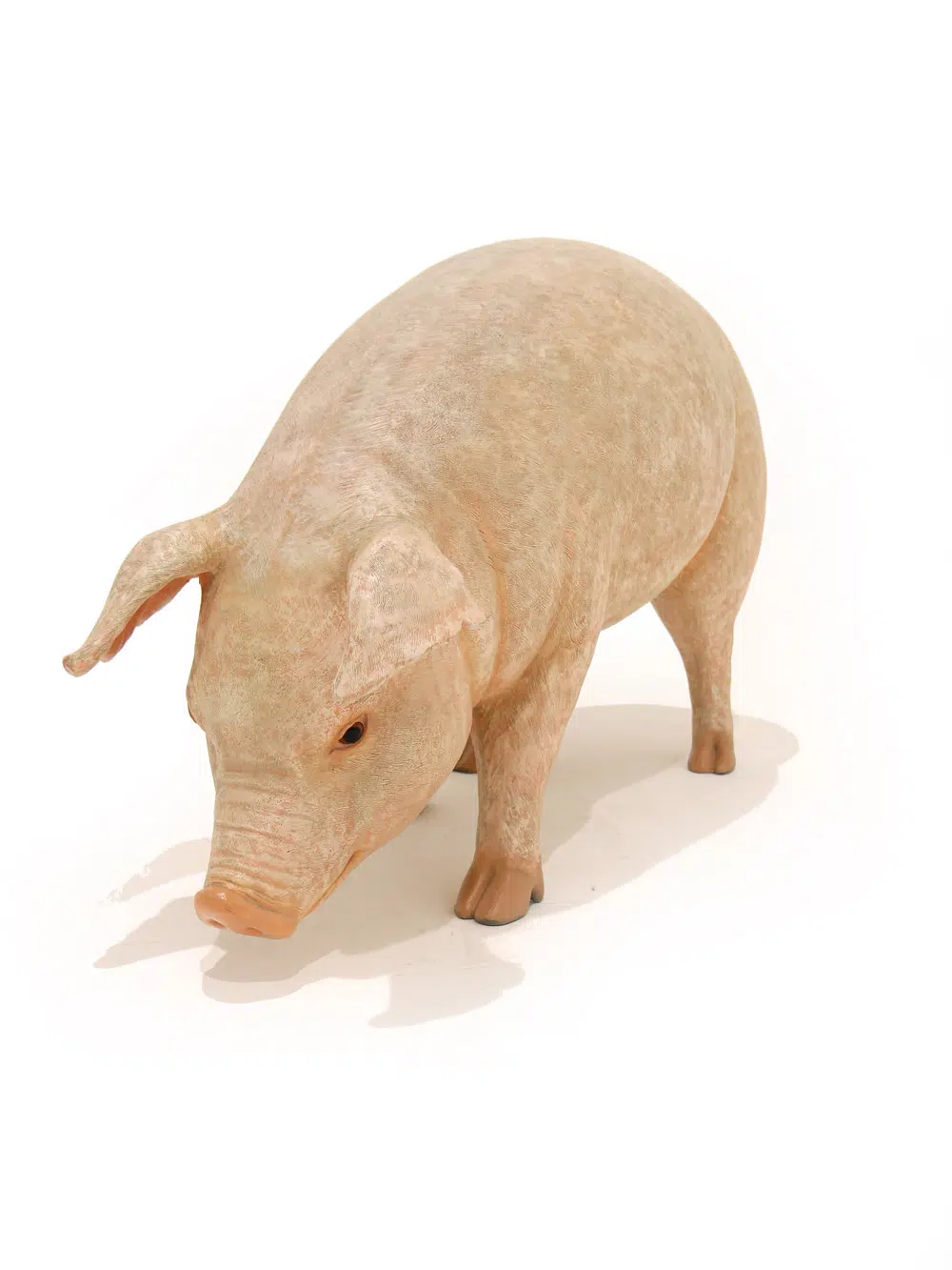 SN5616 Adult Pig _event_prop_hire_049_Optimised