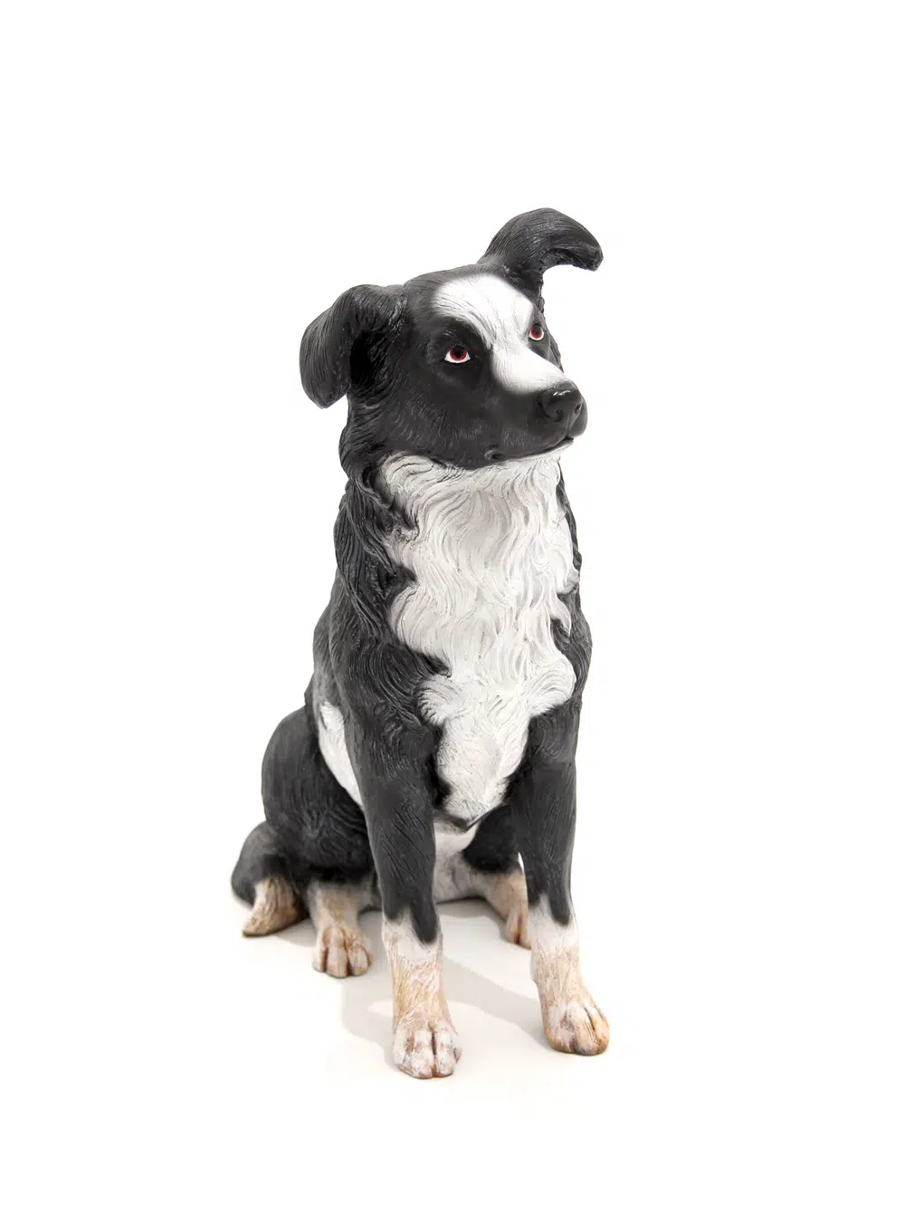 SN5617 Borer Collie Dog - Sitting _event_prop_hire_003_Optimised