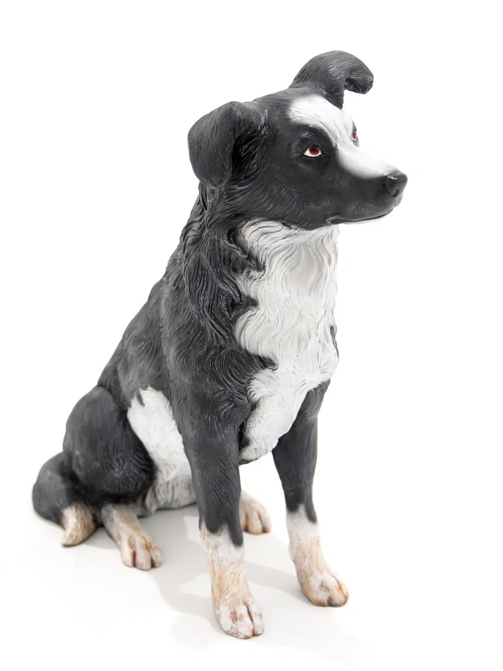 SN5617 Borer Collie Dog - Sitting _event_prop_hire_004_Optimised