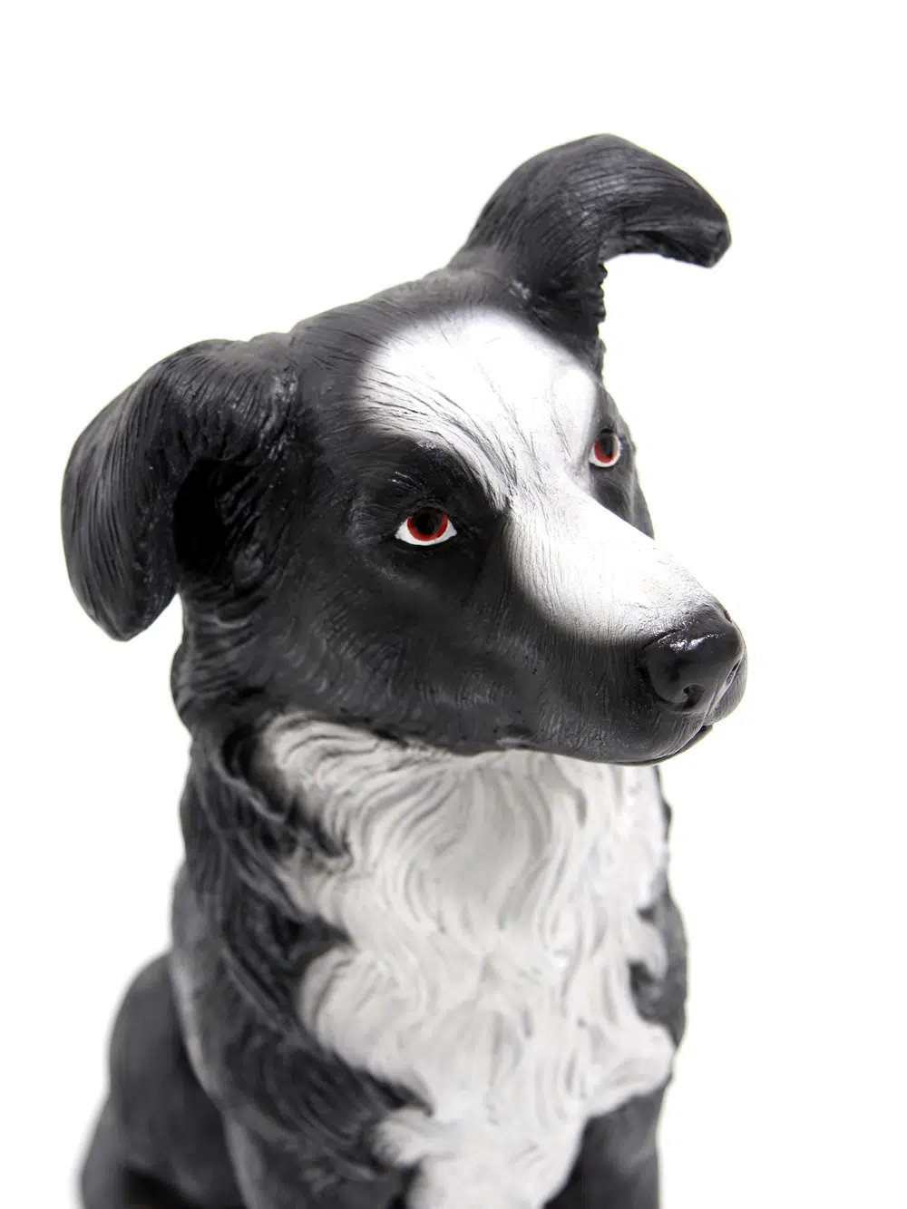 SN5617 Borer Collie Dog - Sitting _event_prop_hire_005_Optimised