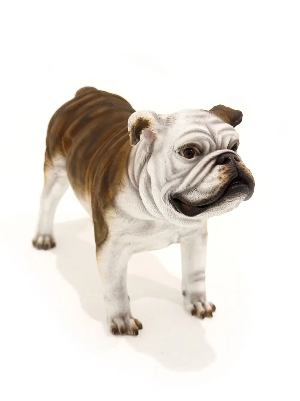 SN5721 Bulldog - Standing _event_prop_hire_096_Optimised