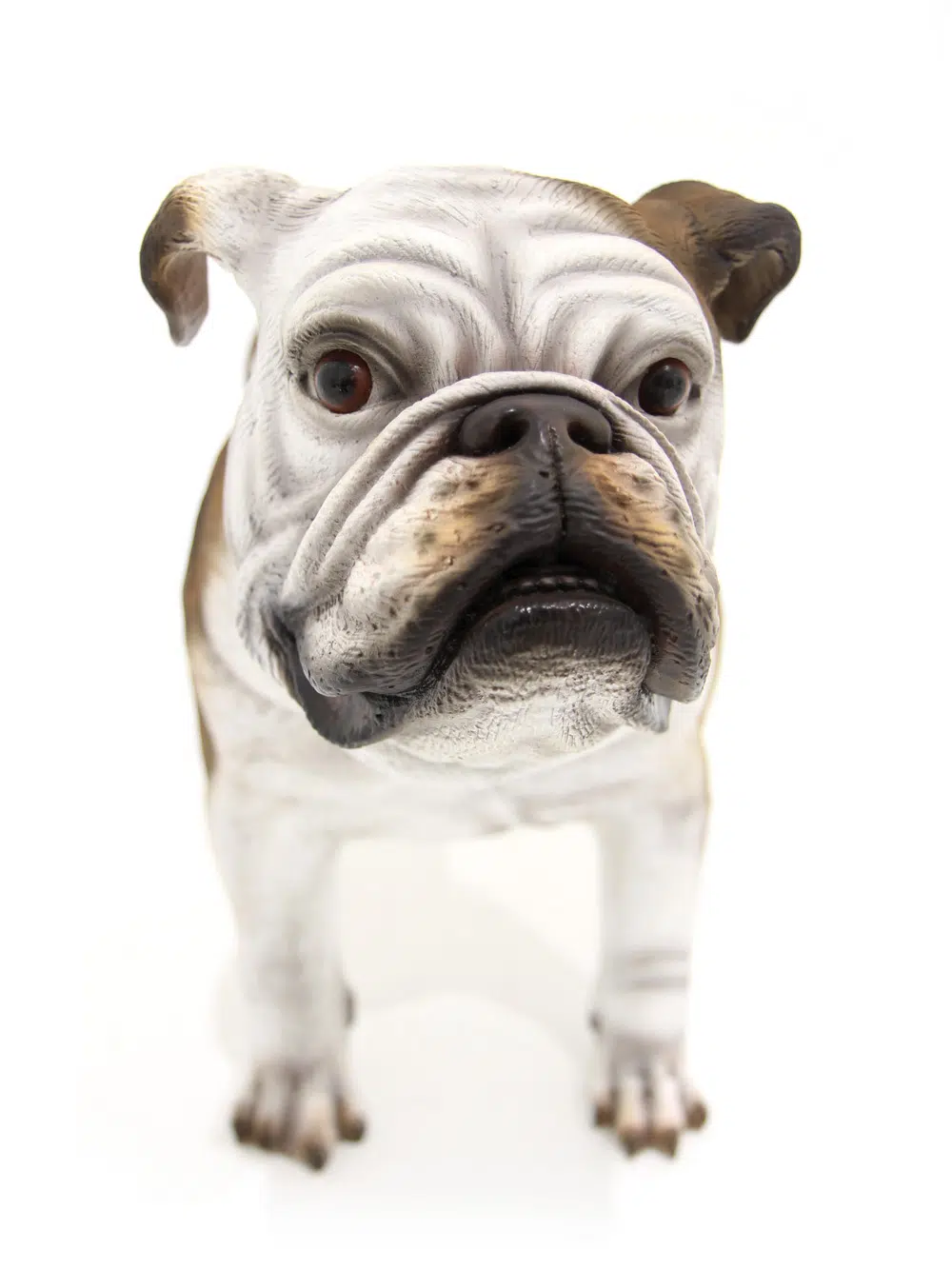 SN5721 Bulldog - Standing _event_prop_hire_098_Optimised