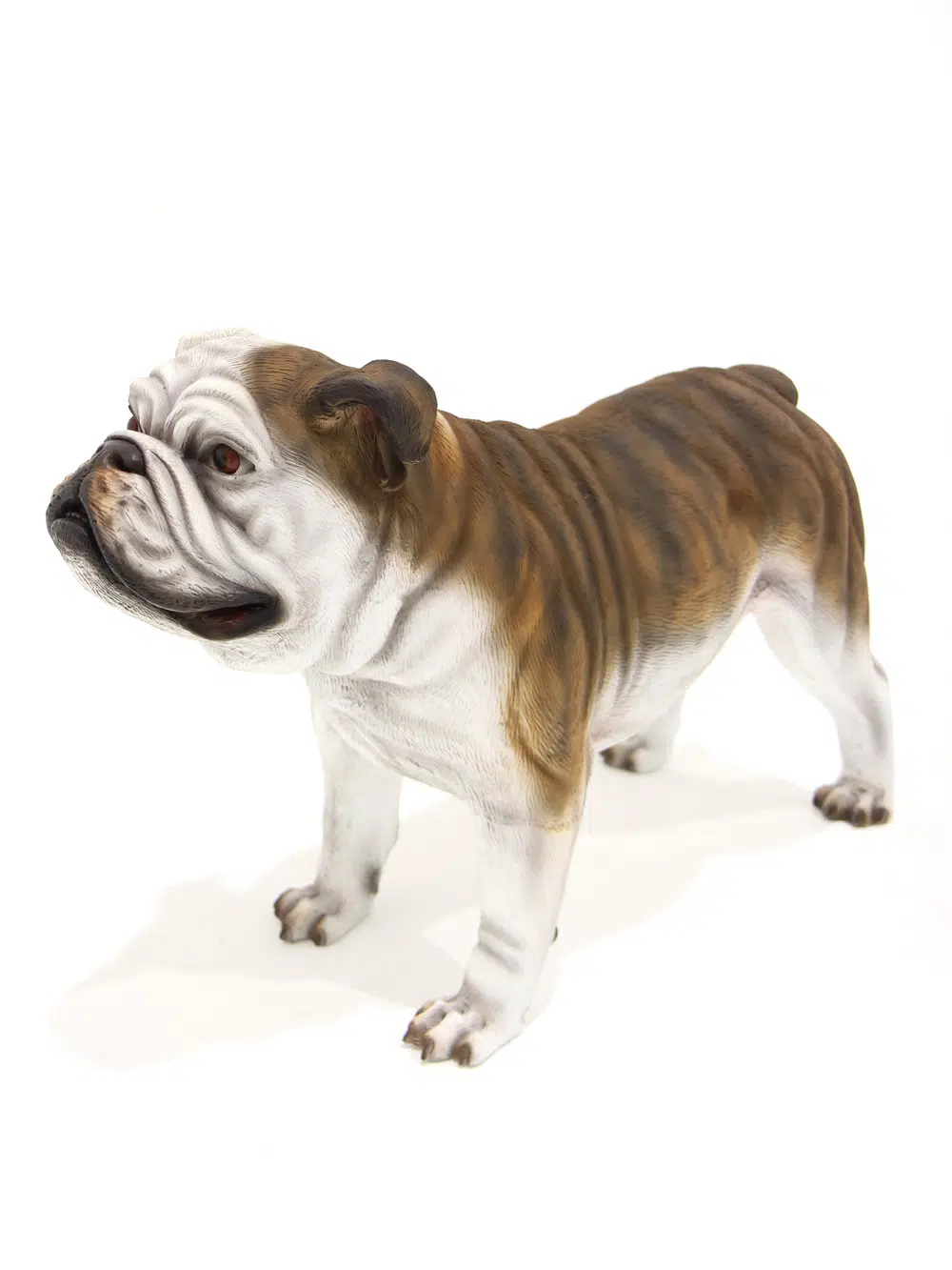 SN5721 Bulldog - Standing _event_prop_hire_099_Optimised