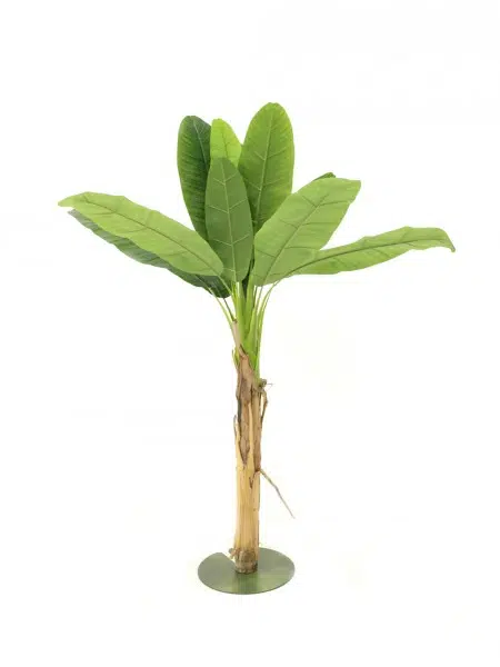SN4452_Banana_Palm_Tree_180cmevent_prop_hire_073
