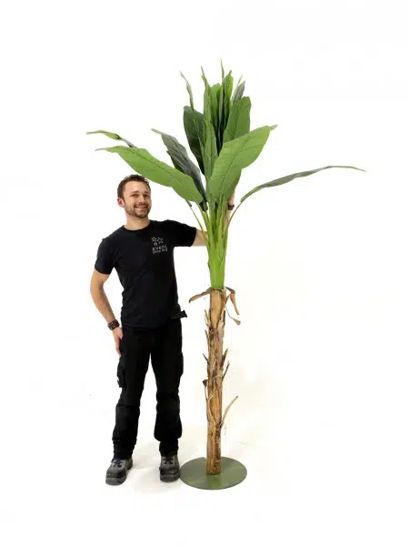 SN4453_Banana_Palm_Tree_240cmevent_prop_hire_068