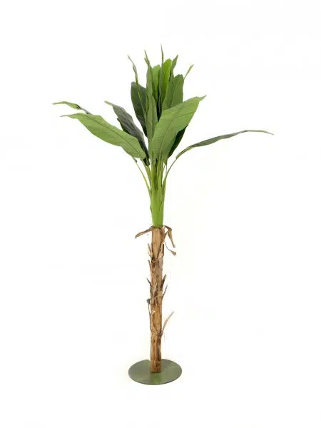 SN4453_Banana_Palm_Tree_240cmevent_prop_hire_069