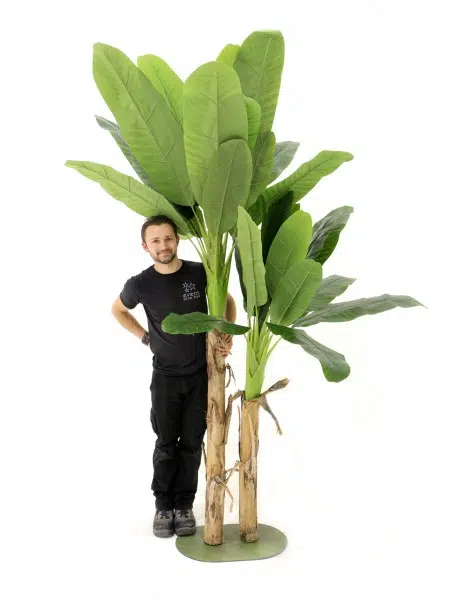 SN4481_Double_Banana_Palmevent_prop_hire_005