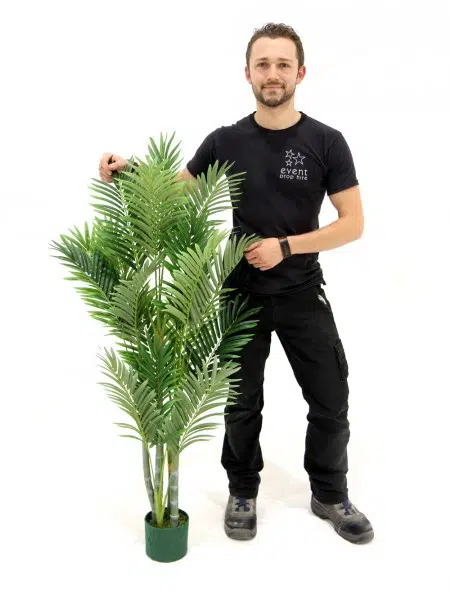 SN4519_Bamboo_Palm_-_14mevent_prop_hire_023