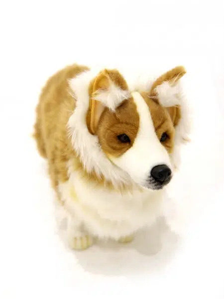 SN4543_Soft_Standing_Corgi_Dogevent_prop_hire_020