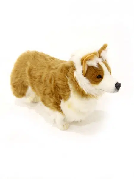 SN4543_Soft_Standing_Corgi_Dogevent_prop_hire_021