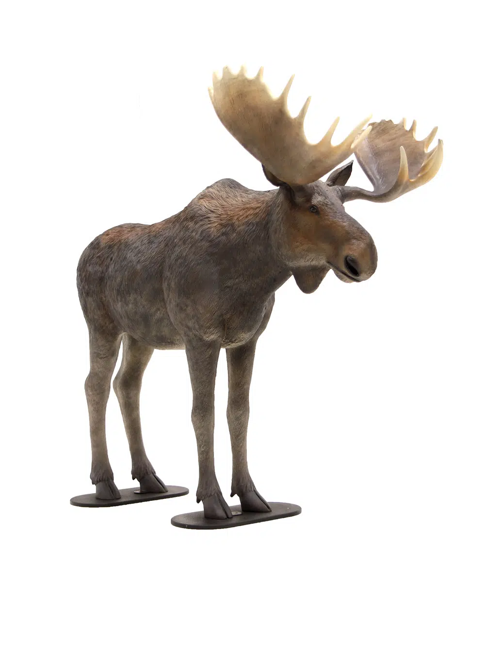 SN4500 Life-size Moose _event_prop_hire_028_Optimised