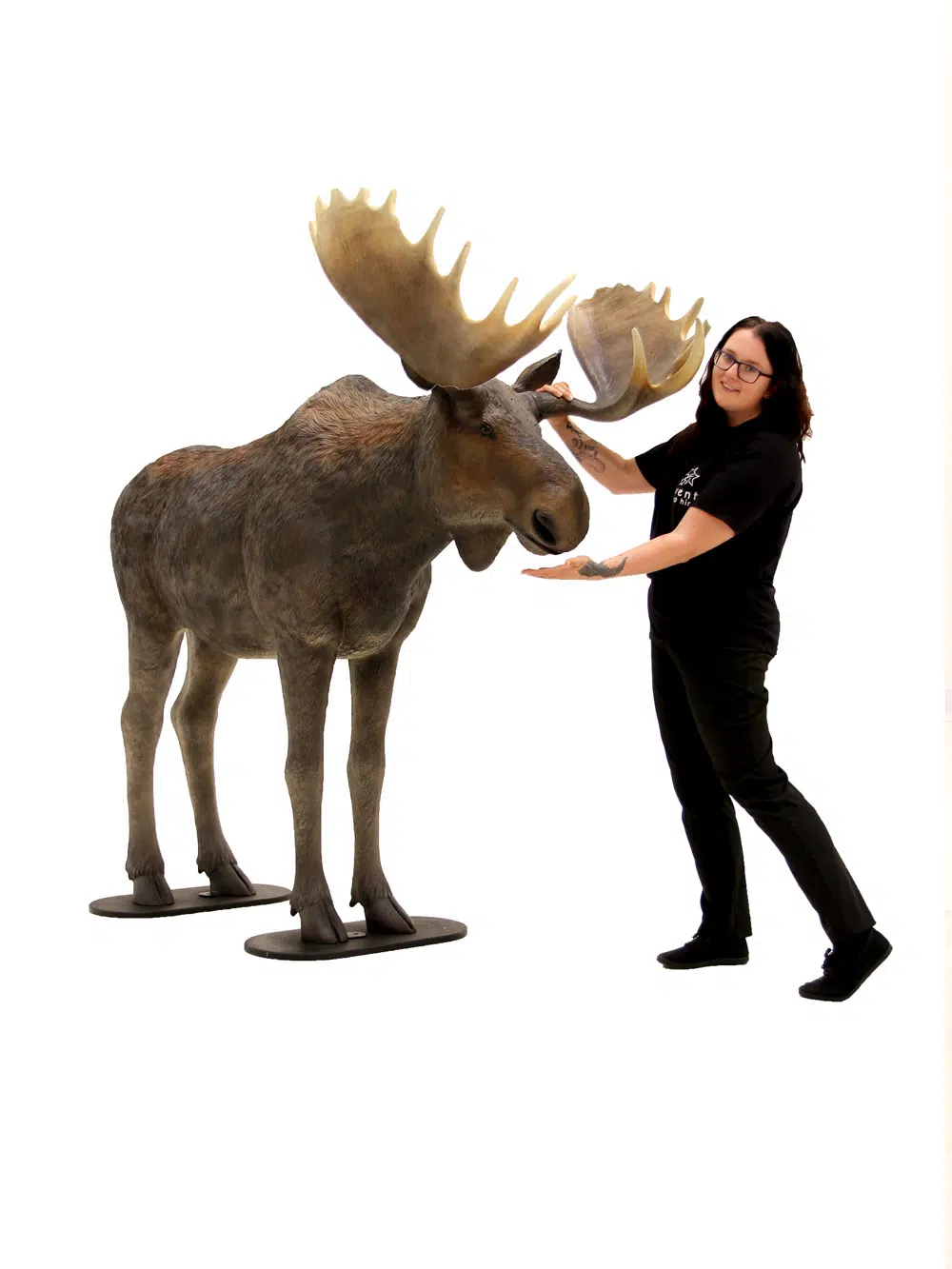SN4500 Life-size Moose _event_prop_hire_030_Optimised