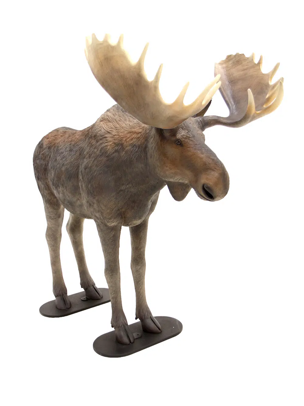 SN4500 Life-size Moose _event_prop_hire_031_Optimised