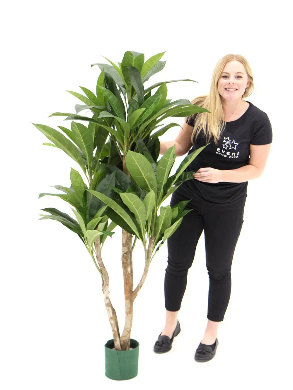 SN4817 Large Leafy Green (Plumeria) _event_prop_hire_199_Optimised
