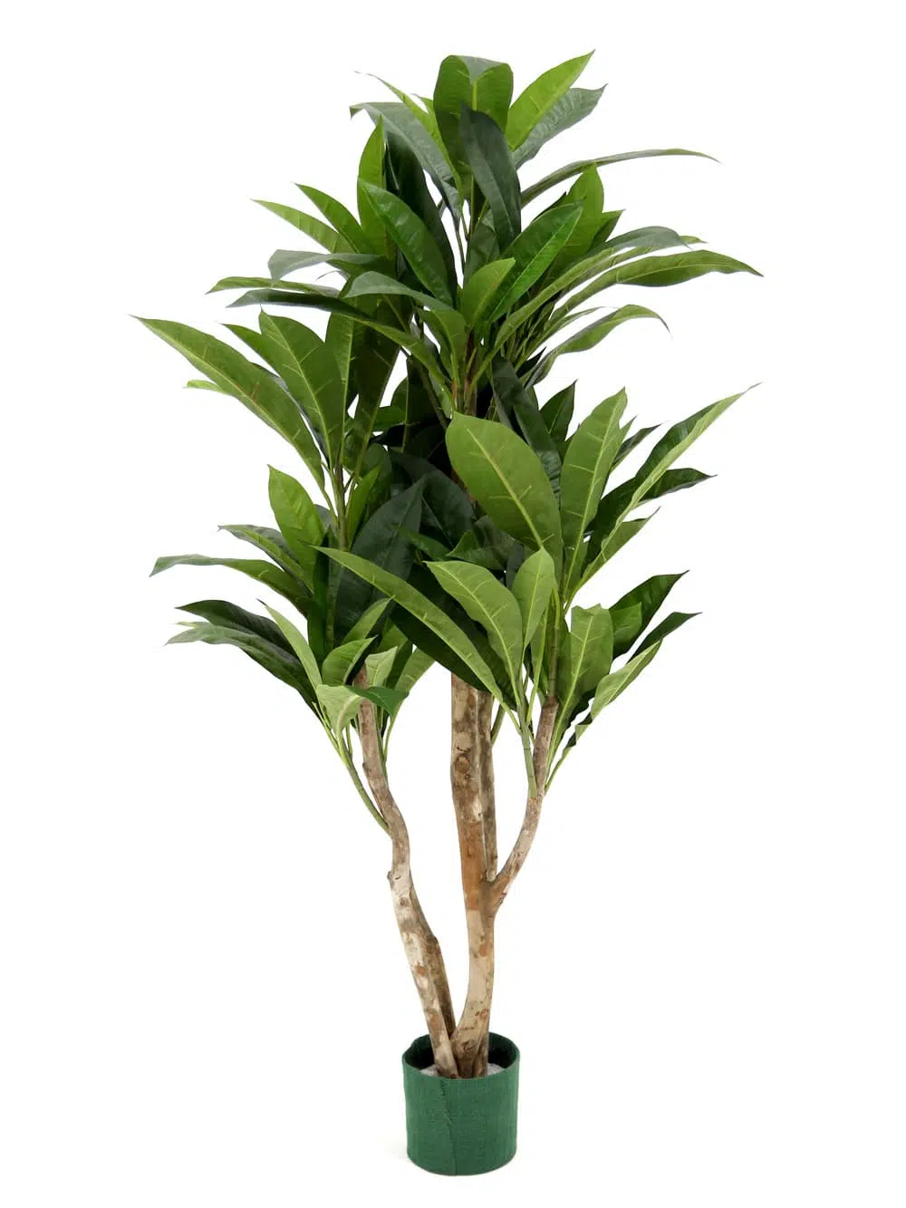 SN4817 Large Leafy Green (Plumeria) _event_prop_hire_200_Optimised