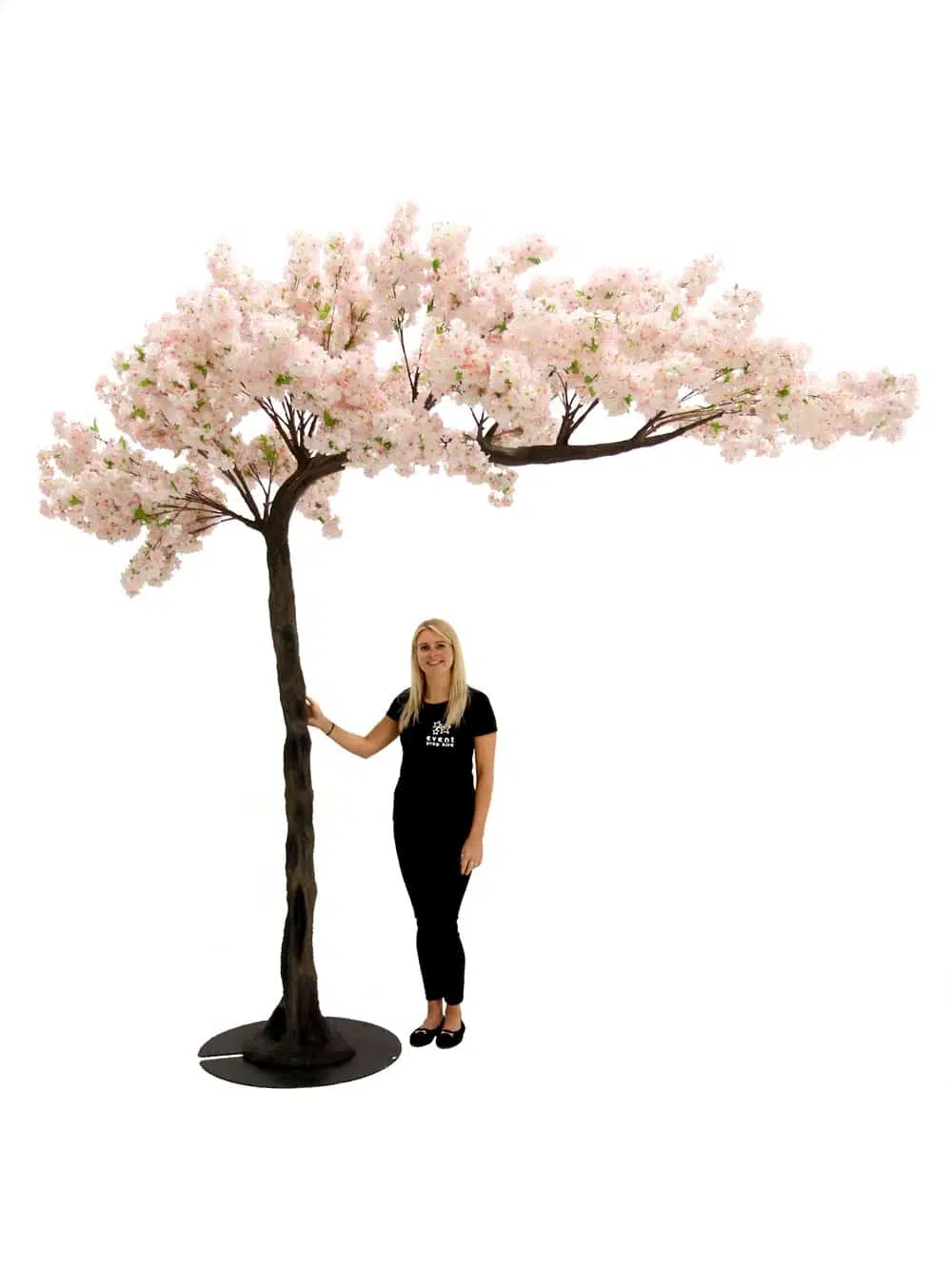 SN4214 Pink Cherry Blossom Canopy Tree (3.3m) _event_prop_hire_075