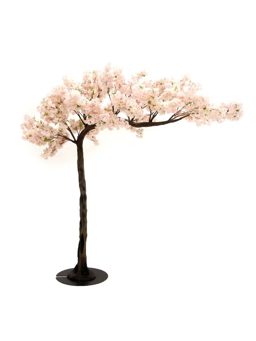 SN4214 Pink Cherry Blossom Canopy Tree (3.3m) _event_prop_hire_076