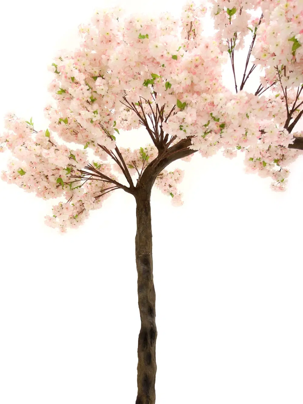 SN4214 Pink Cherry Blossom Canopy Tree (3.3m) _event_prop_hire_077