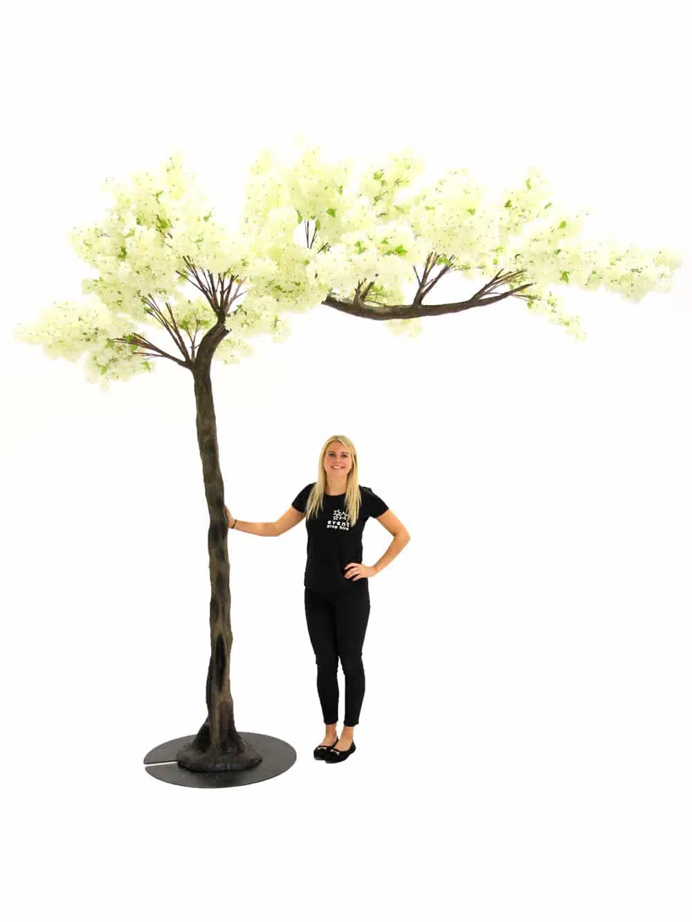 SN5240 Cream Cherry Blossom Canopy Tree (3.3m) _event_prop_hire_085