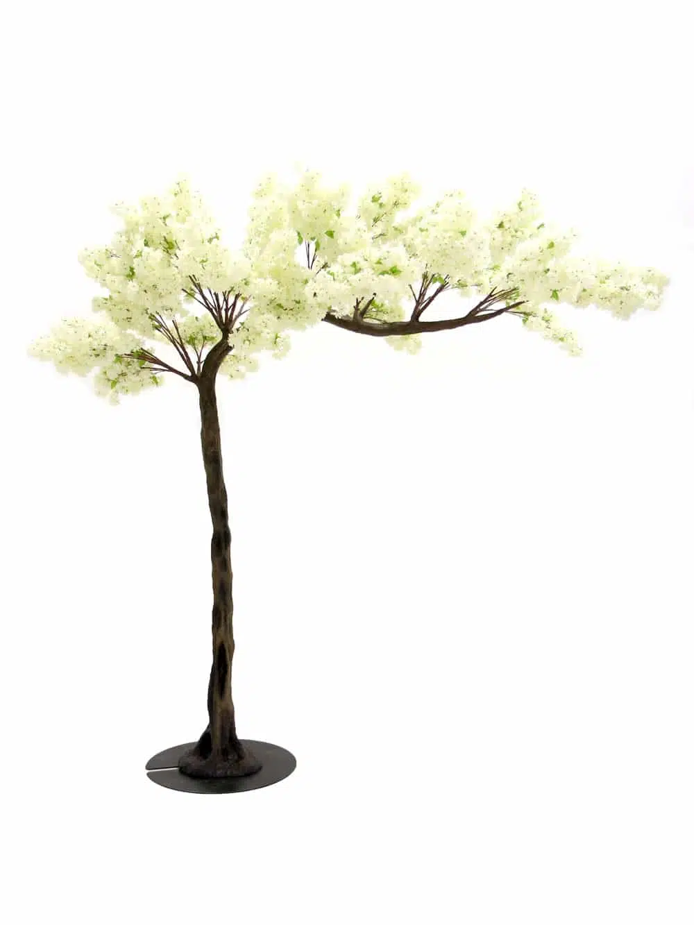 SN5240 Cream Cherry Blossom Canopy Tree (3.3m) _event_prop_hire_086